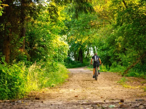 Oubliez les somnifères ou anti-stress, la nature serait peut-être...