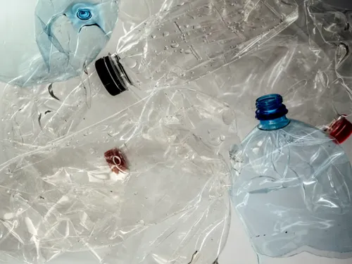 Recyclage des bouteilles : l'Ouest parmi les meilleurs élèves mais...