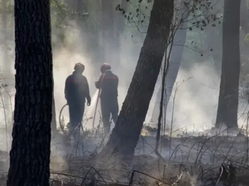 Plusieurs feux de végétation en Loire-Atlantique : 200 pompiers...