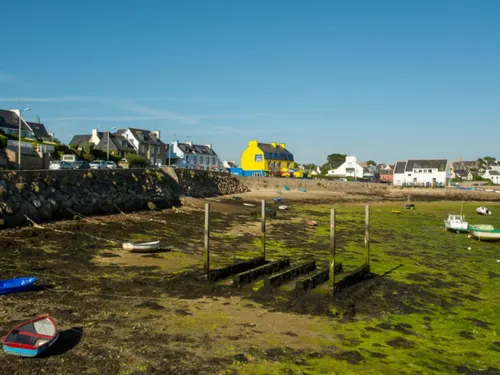 Bretagne : la lutte contre les algues vertes atteint un palier,...