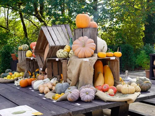 Vendée : le Potager extraordinaire passe en mode Halloween
