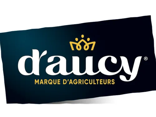 D'Aucy Le Faouët recrute