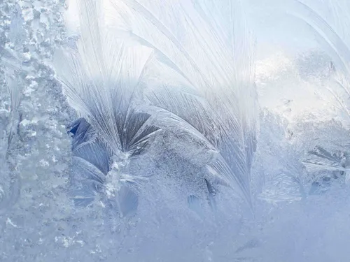 Et si l’Ouest connaissait un vrai coup de froid avant la fin janvier ?