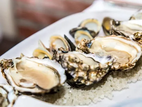 Baie de Bourgneuf : la vente d'huîtres à nouveau autorisée