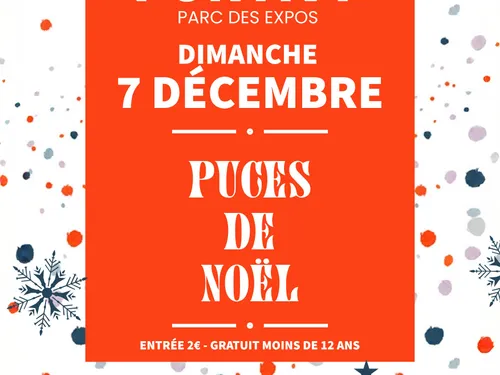 Puces de Noël à Pontivy