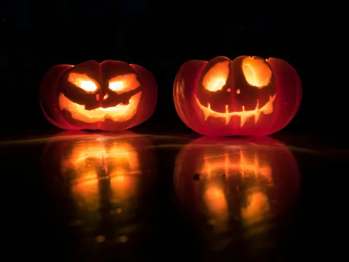 Hallomeen : 9 000 visiteurs attendus pour une soirée d’Halloween...
