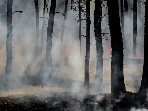 Incendies : la solidarité s'organise en Bretagne et dans les Pays...
