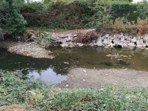 La sécheresse a eu de grosses conséquences dans les marais de Bourges