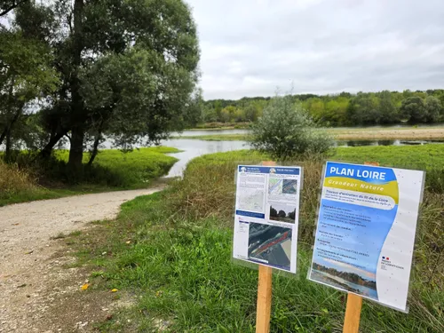 Dans le lit de la Loire, on enlève des arbres… pour mieux se...