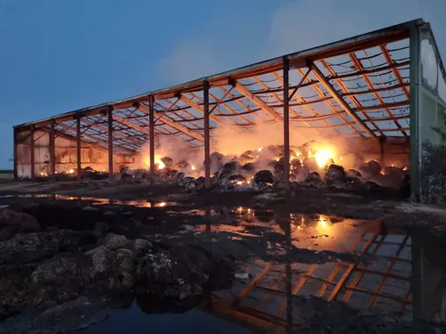 Deux ans de fourrage détruits : la fromagerie Bordas Moreau lance...