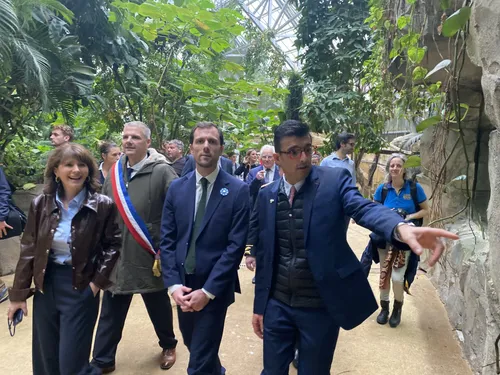 "Ce projet coche toutes les cases" : Beauval accueillera bien des...