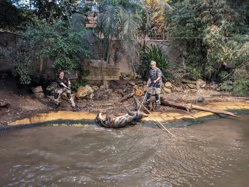 [Photos + vidéos] Une opération exceptionnelle à Biotropica