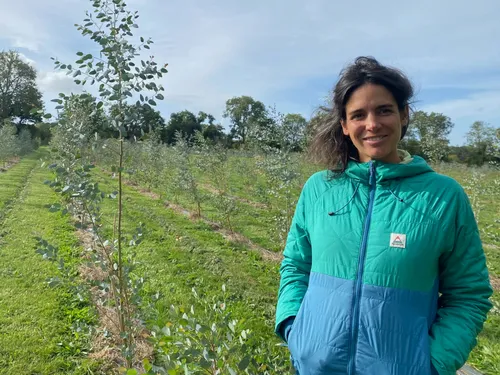 Calvados : une exploitation mise sur le feuillage français pour nos...