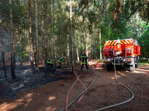 Sarthe : important feu de forêt à Cérans-Foulletourte, plus de 130...
