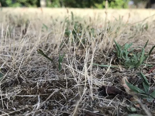 Sécheresse : la situation s'aggrave dans le sud de l'Eure