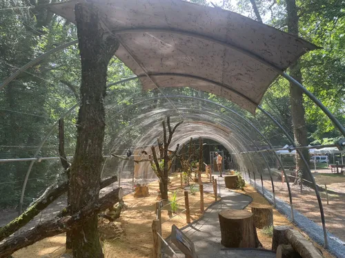 Le Zoo de Pescheray inaugure une volière immersive