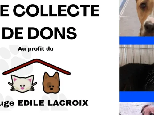 Maubeuge : une collecte de denrées alimentaires pour animaux ce mardi