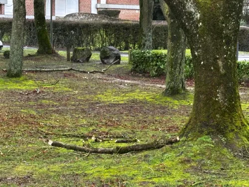 Tempête Floriane : quelques dégâts dans l'Arrondissement
