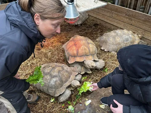 Devenez soigneur d'un jour au Zoo de Maubeuge !