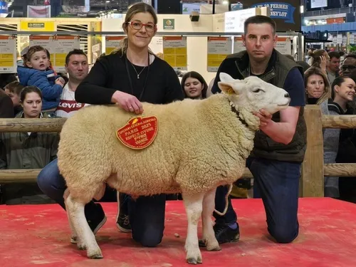 La Sambre-Avesnois-Thiérache bien représentée au salon de...