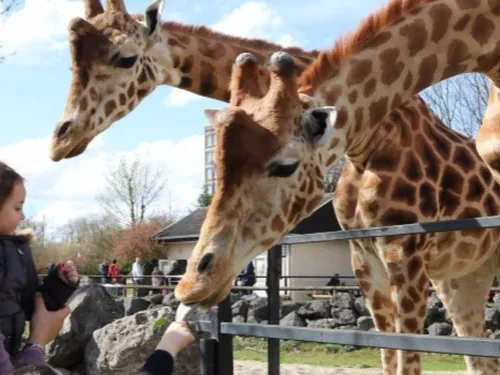Maubeuge : deux journées de la biodiversité au Zoo