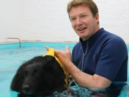 La Flamengrie : stage de premiers secours canins