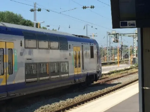 Trafic SNCF à l’arrêt après la chute d'un arbre