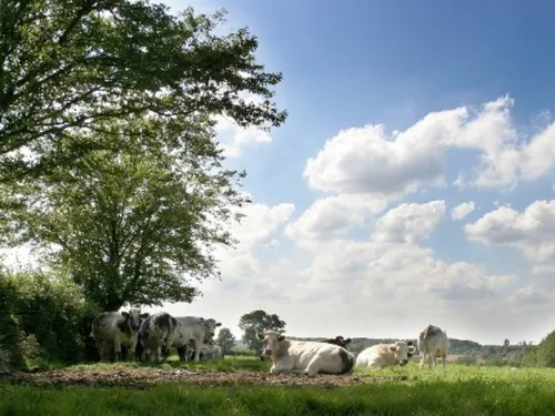 Bavay : 3ème édition de la biodiversité patrimoniale ce dimanche