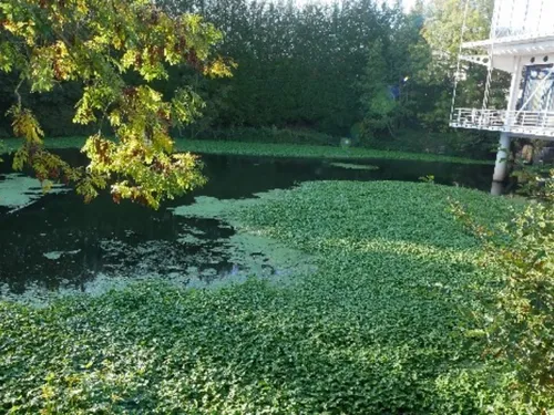 La Sambre et ses berges à préserver