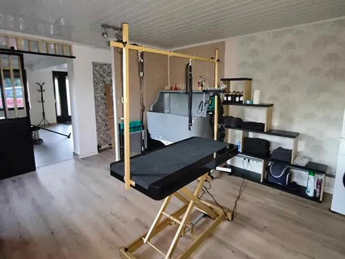 Fourmies : l’ouverture d’un nouveau salon de Toilettage