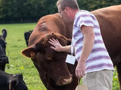 Trélon : un vide-greniers à la Porte Ouverte de la Ferme Angus