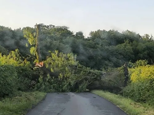  Sambre-Avesnois-Thiérache : l'orage provoque des dégâts 