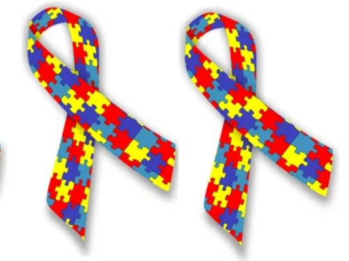 Aulnoye-Aymeries : un centre de loisirs pour enfants autistes