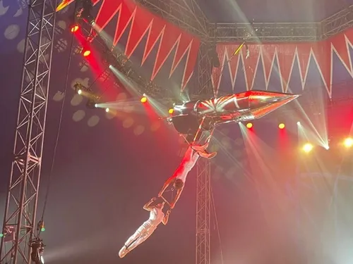 Festival de cirque à Fourmies : l'avis des spectateurs