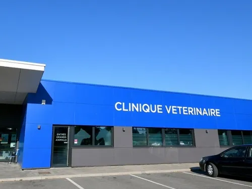 Maroilles : les conseils du vétérinaire nutritionniste