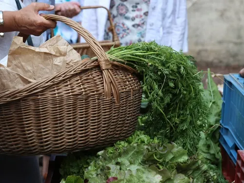 Étréaupont : dernier marché des Fanes de carottes ce samedi   