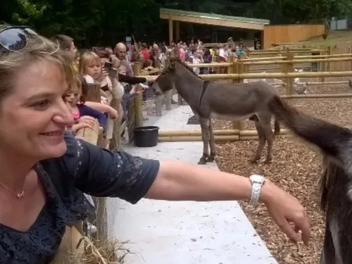 Le Quesnoy : un atelier créatif ce mercredi à la ferme pédagogique