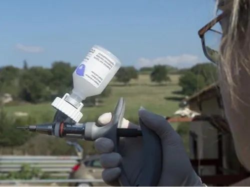 Un cas de fièvre catarrhale ovine à Marpent