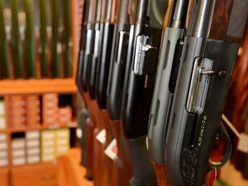 Vous avez une arme ? Créez votre compte SIA au 31 décembre, dernier...