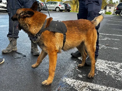 Long format - Au cœur de l’opération « Place nette XXL »