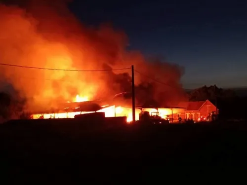 Thiérache : 3 bovins décèdent dans l’incendie d’une ferme