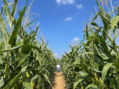 Le Hérie-la-Viéville : des jeux et de nouvelles énigmes à résoudre...