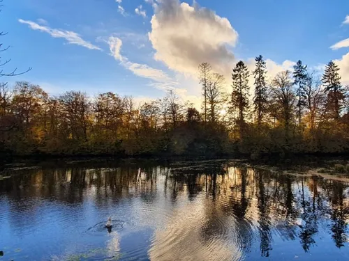 Le parc de l’abbaye de Liessies : un zone de répit pour les autistes