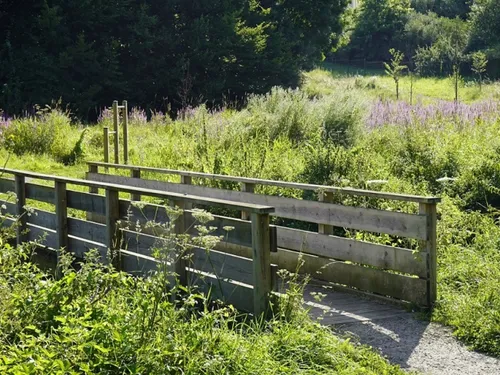 Maubeuge : du nouveau au parc de la Flamenne
