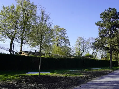 Maubeuge : plus de 2500 arbres plantés en moins de 4 ans