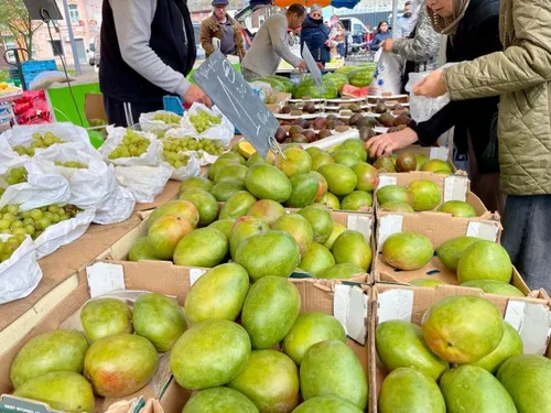 Dans les allées du marché de Sous-Le-Bois à Maubeuge