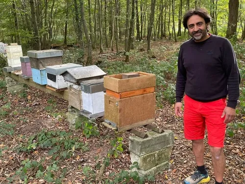 Une récolte de miel exceptionnelle en Sambre-Avesnois-Thiérache