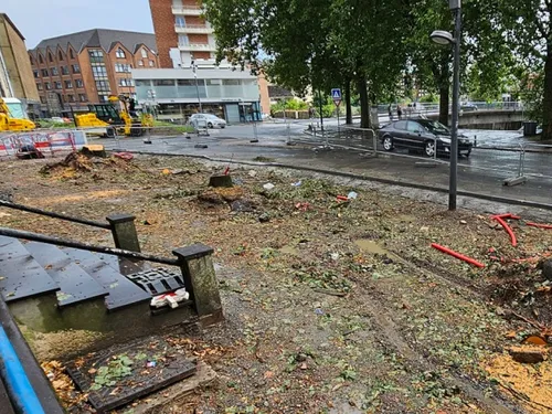 Maubeuge : 3 arbres abattus avenue Mabuse soulèvent la colère de...