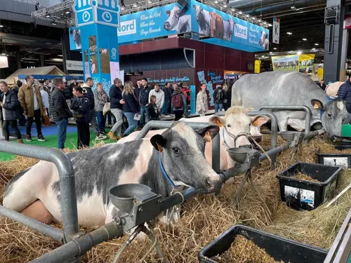 La région Hauts-de-France a mis à l'honneur ses éleveurs et...