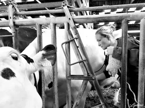 Maroilles : le décès à 39 ans du vétérinaire Sophie Cercelet 